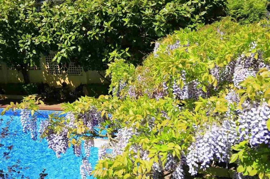 4XXX BEVERLY CRESCENT, Vancouver BC V6J 4E7 Vancouver, BC - 17