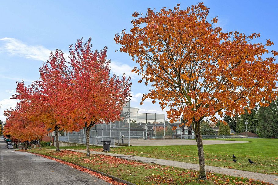 1088 W 42nd Avenue Vancouver, BC - 37