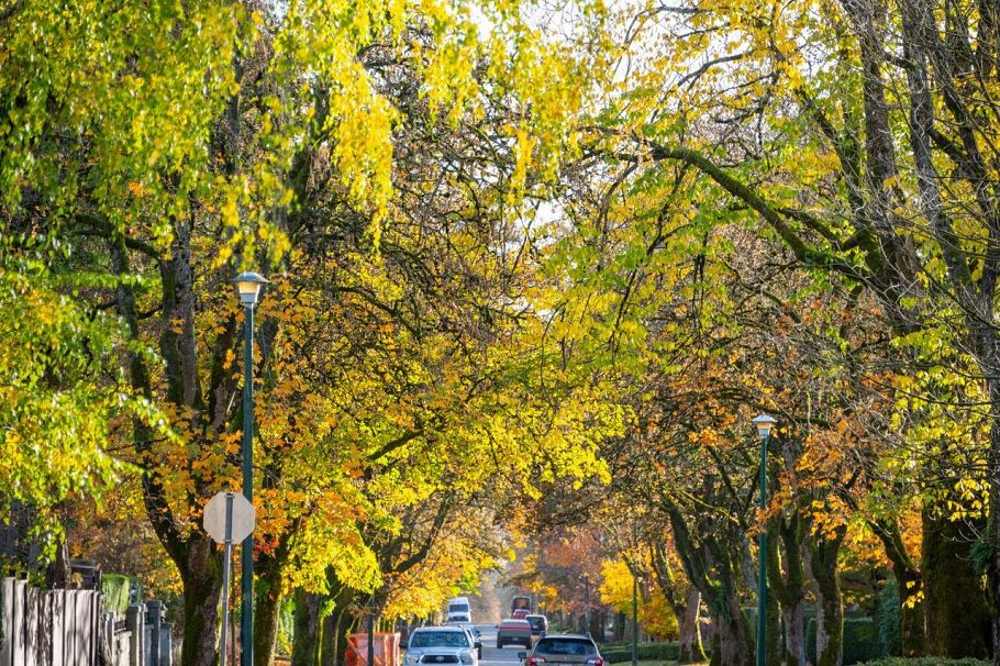 6476 Adera Street Vancouver, BC - 9