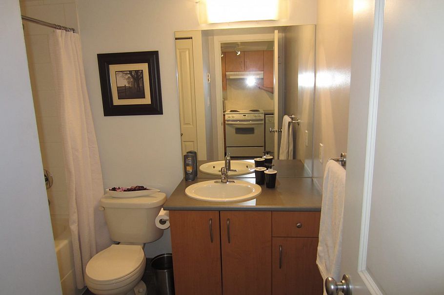 302 1295 Richards Street Vancouver, BC - 13