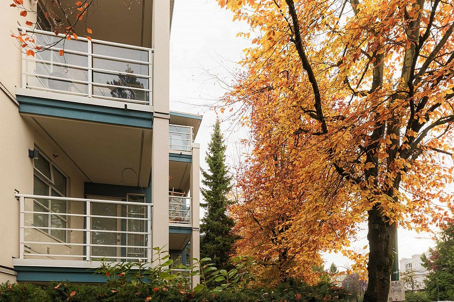 204 2575 W 4th Avenue Vancouver, BC - 22