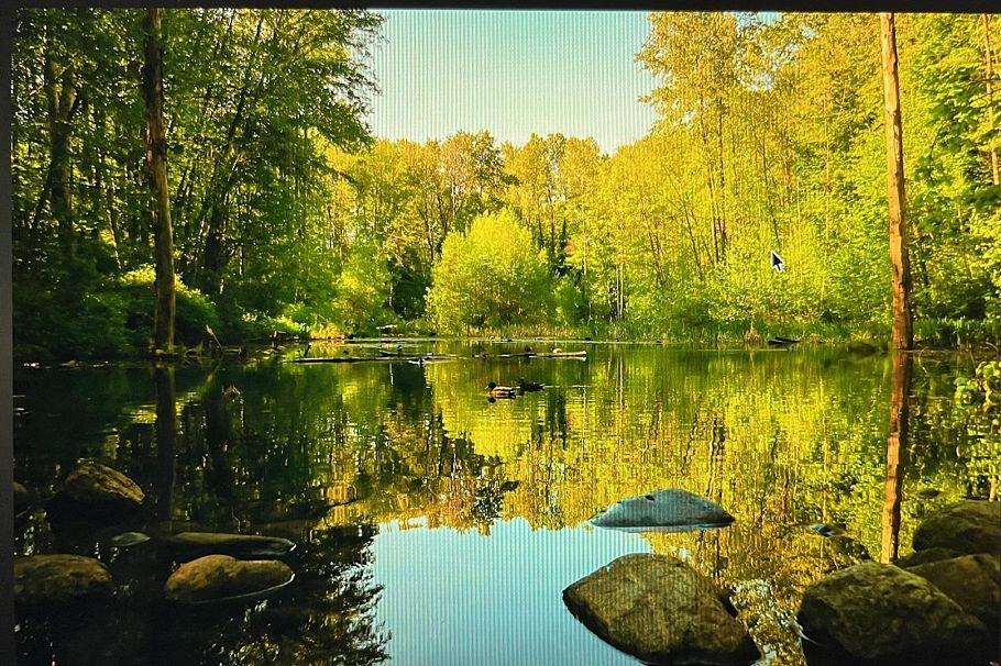 106 3162 Riverwalk Avenue Vancouver, BC - 22