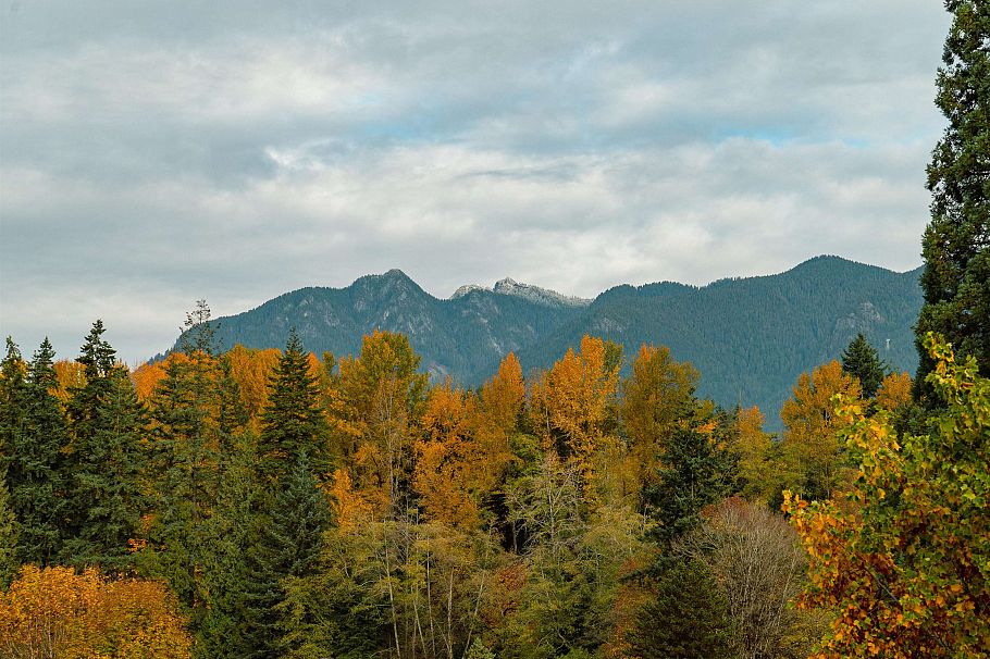 1319 2012 Fullerton Avenue North Vancouver, BC - 28