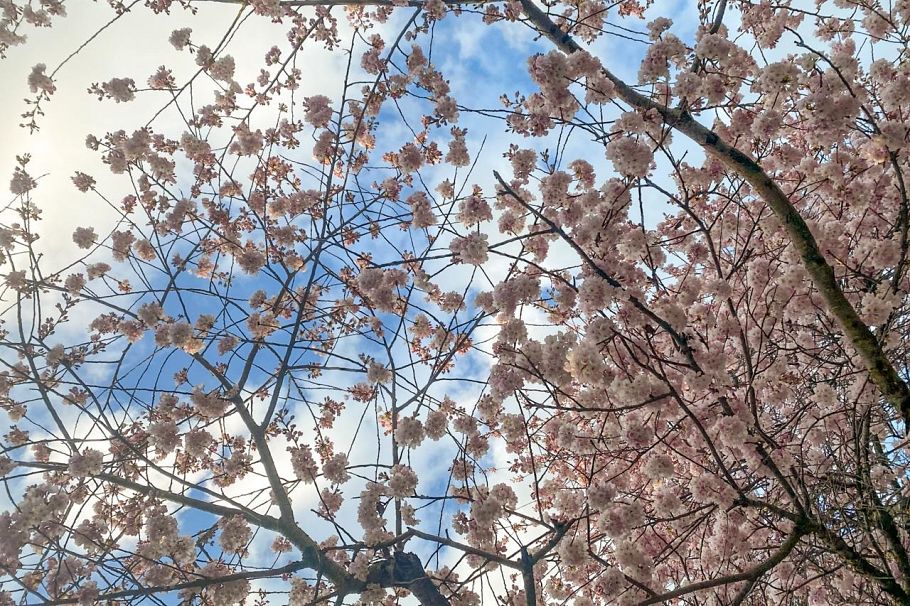 3274 W 1st Avenue Vancouver, BC - 34