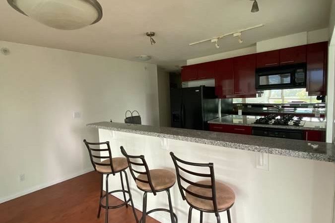 60X 1328 W PENDER STREET, Vancouver BC V6E 4T1 Vancouver, BC - 4