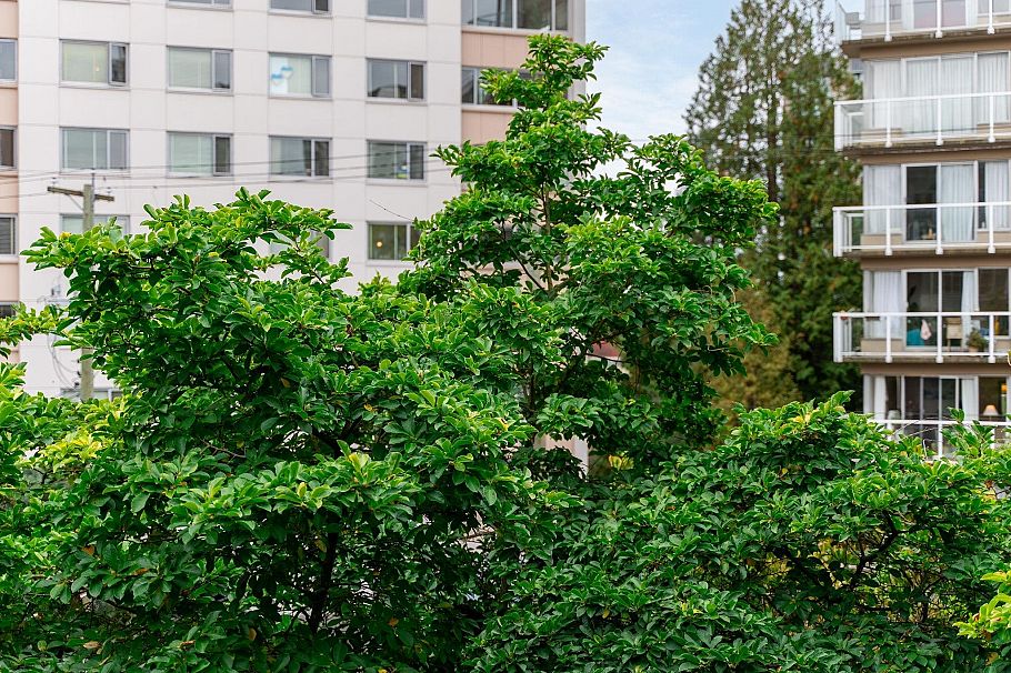 304 1928 Nelson Street Vancouver, BC - 30