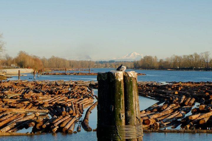 506 3289 Riverwalk Avenue Vancouver, BC - 15