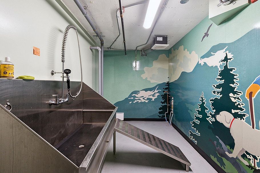 309 128 E 8th Street North Vancouver, BC - 20