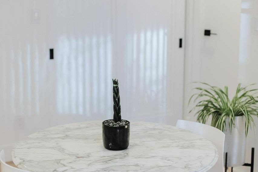 608 1166 Melville Street Vancouver, BC - 4