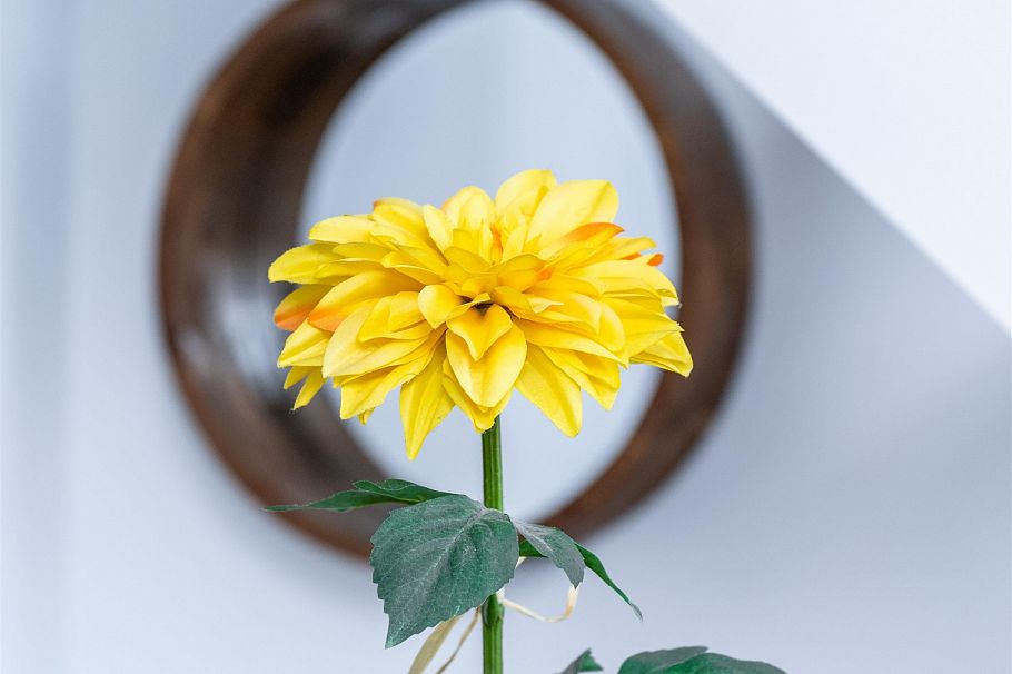 909 933 Seymour Street Vancouver, BC - 3