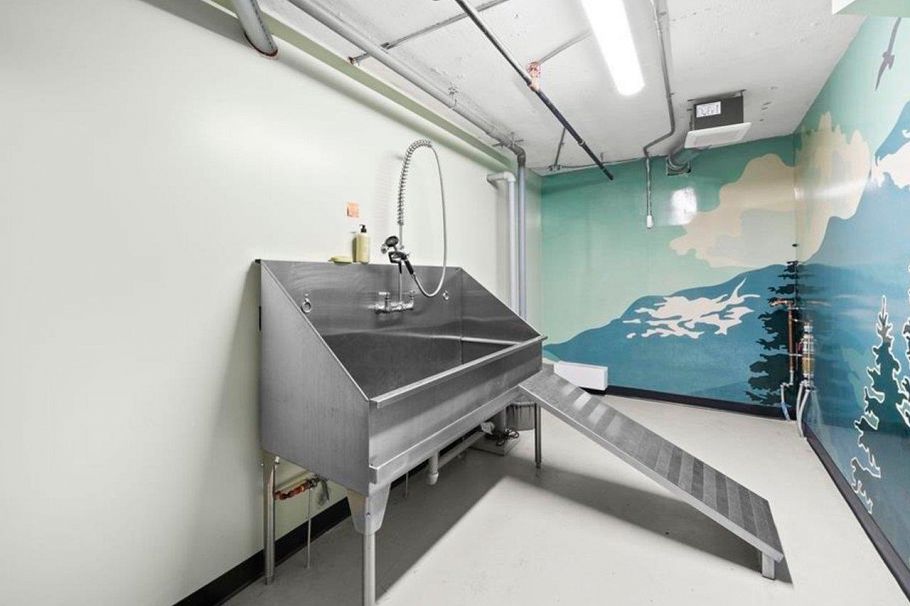 202 128 E 8th Street North Vancouver, BC - 23