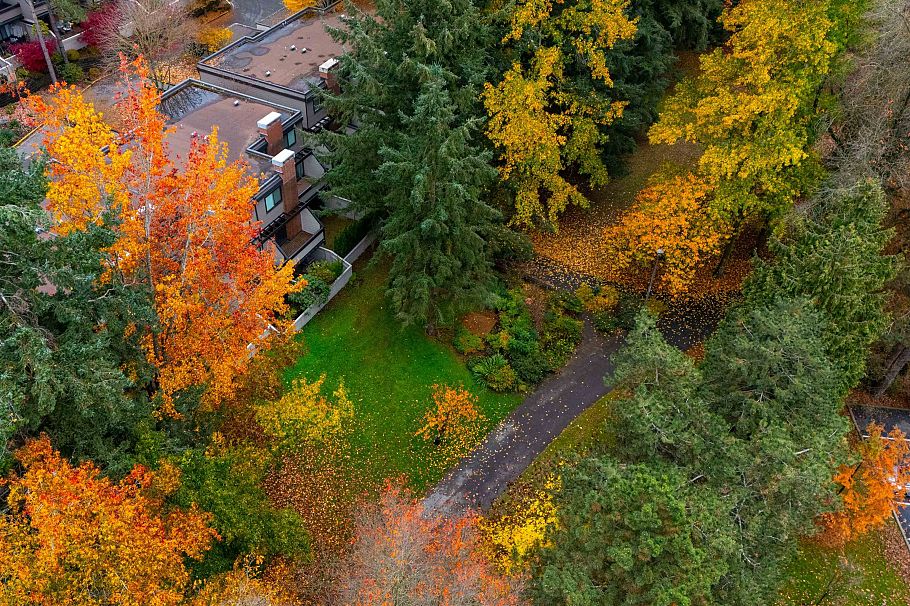 4083 Parkway Drive Vancouver, BC - 2