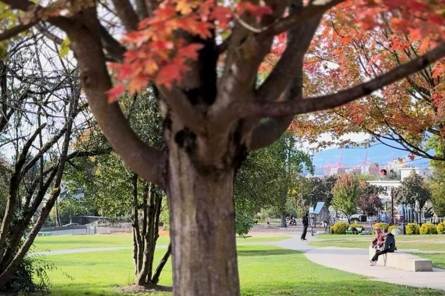 208 1516 Charles Street Vancouver, BC - 31