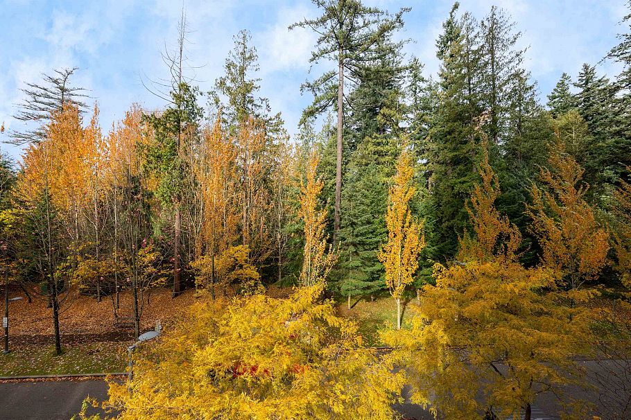 403 5838 Berton Avenue Vancouver, BC - 27