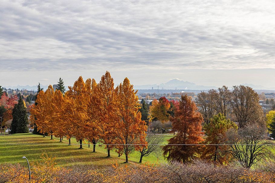 408 7638 Cambie Street Vancouver, BC - 27