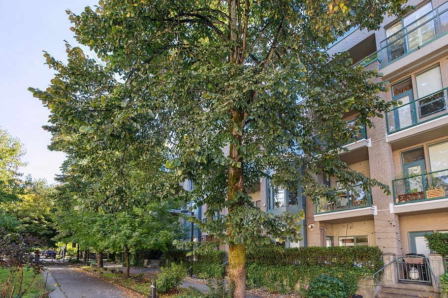 210 2028 W 11th Avenue Vancouver, BC - 17