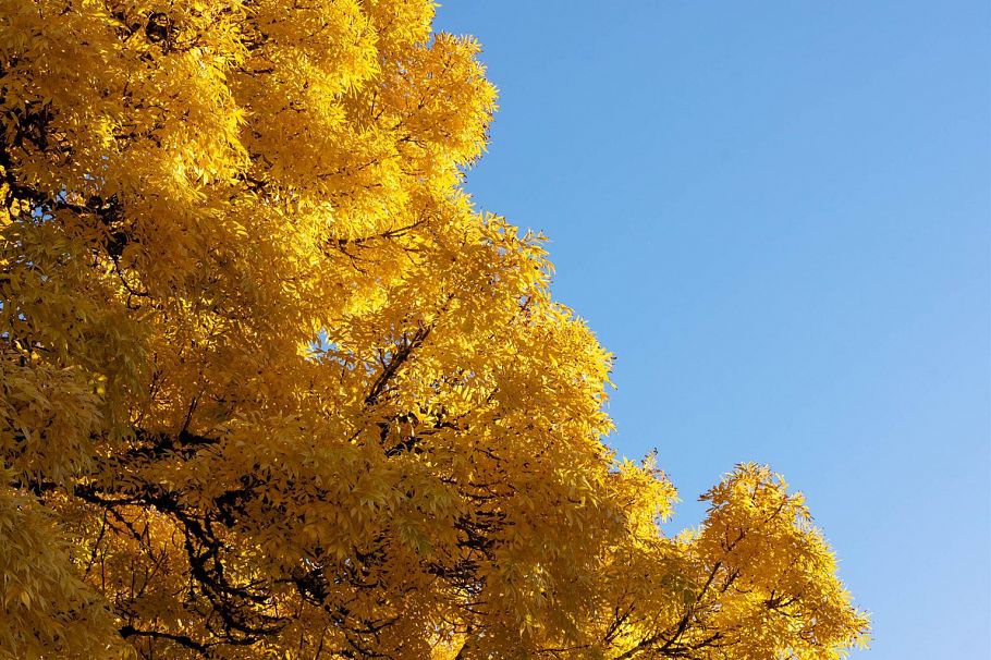 2719 E 46th Avenue Vancouver, BC - 37