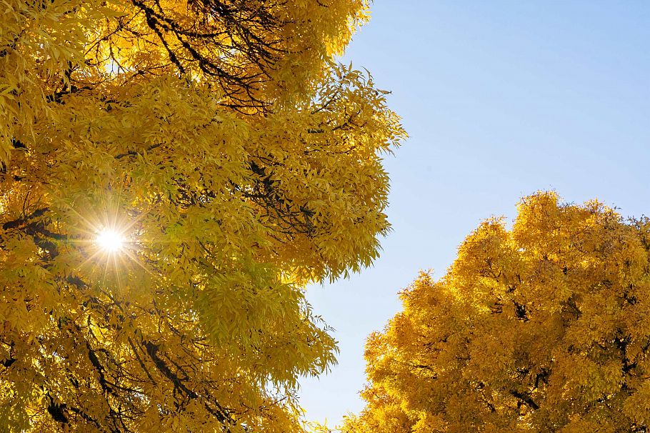 2719 E 46th Avenue Vancouver, BC - 36