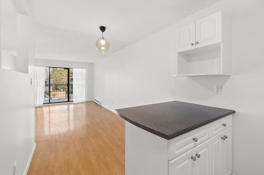 215 808 8th Avenue Vancouver, BC - 12