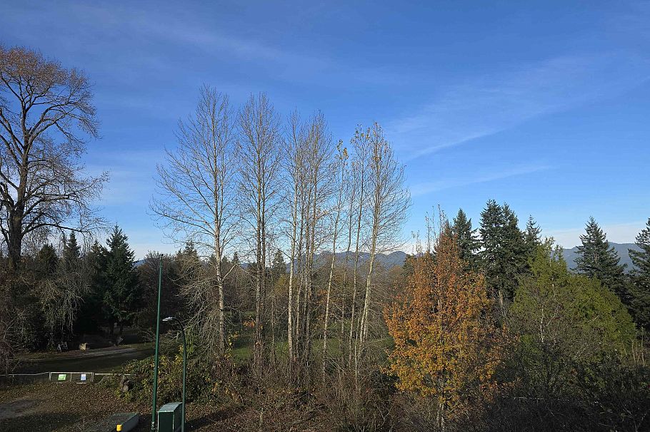 98 W 37th Avenue Vancouver, BC - 34