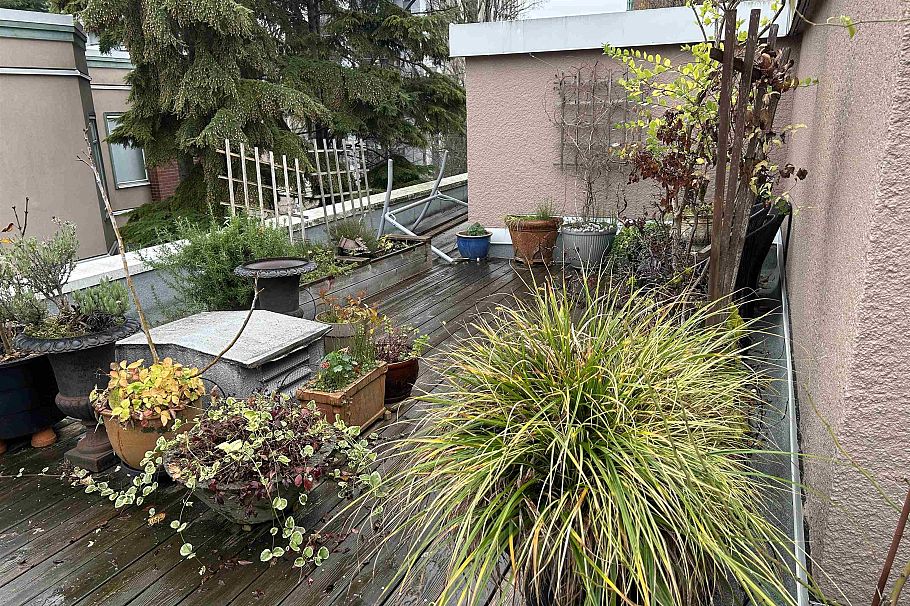 203 1878 Robson Street Vancouver, BC - 21