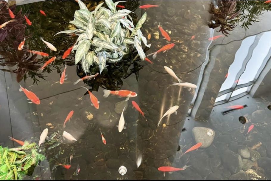 1601 1288 ALBERNI STREET, Vancouver BC V6E 4N5 Vancouver, BC - 8