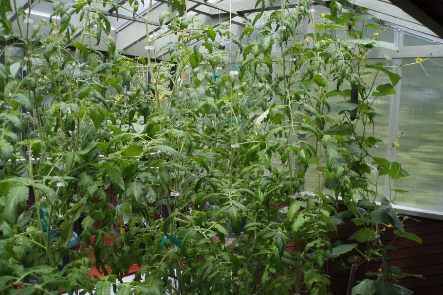 1498 Chamberlain Drive North Vancouver, BC - 40