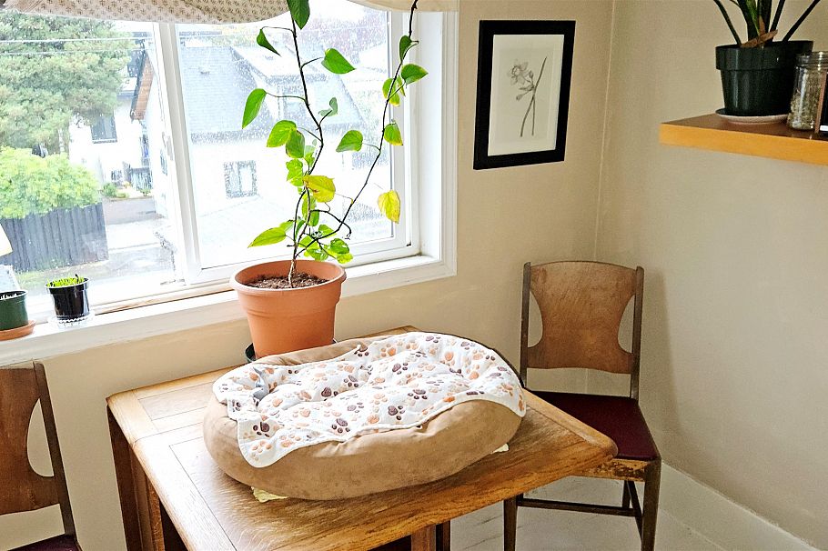 1072 E 55th Avenue Vancouver, BC - 16