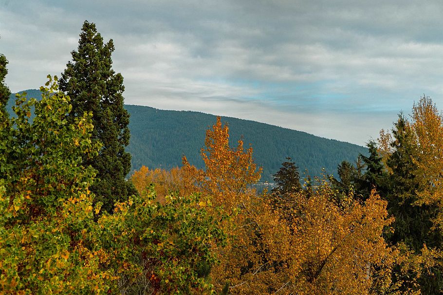 1319 2012 Fullerton Avenue North Vancouver, BC - 32