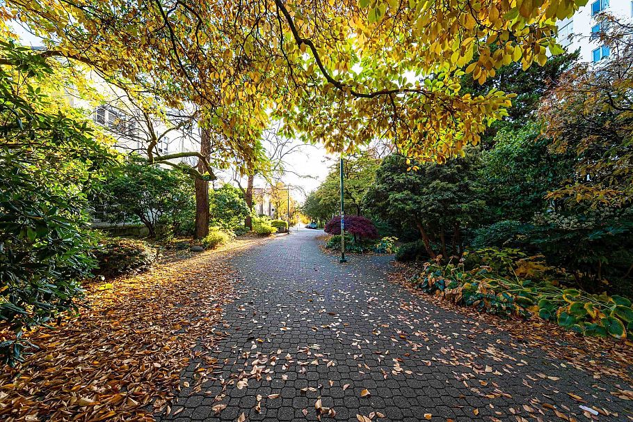 402 1251 Cardero Street Vancouver, BC - 3