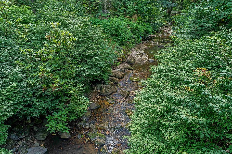 2901 Allan Road North Vancouver, BC - 36