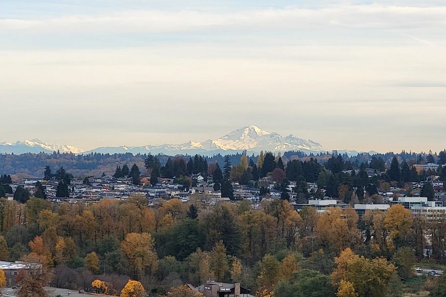 2006 2345 Madison Avenue Burnaby, BC - 2