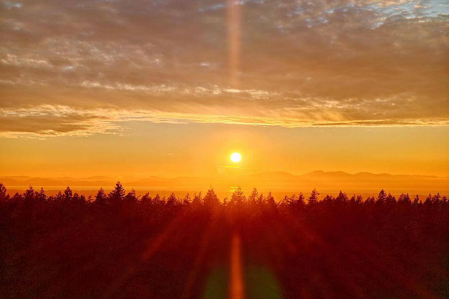 2805 5883 Barker Avenue Burnaby, BC - 22