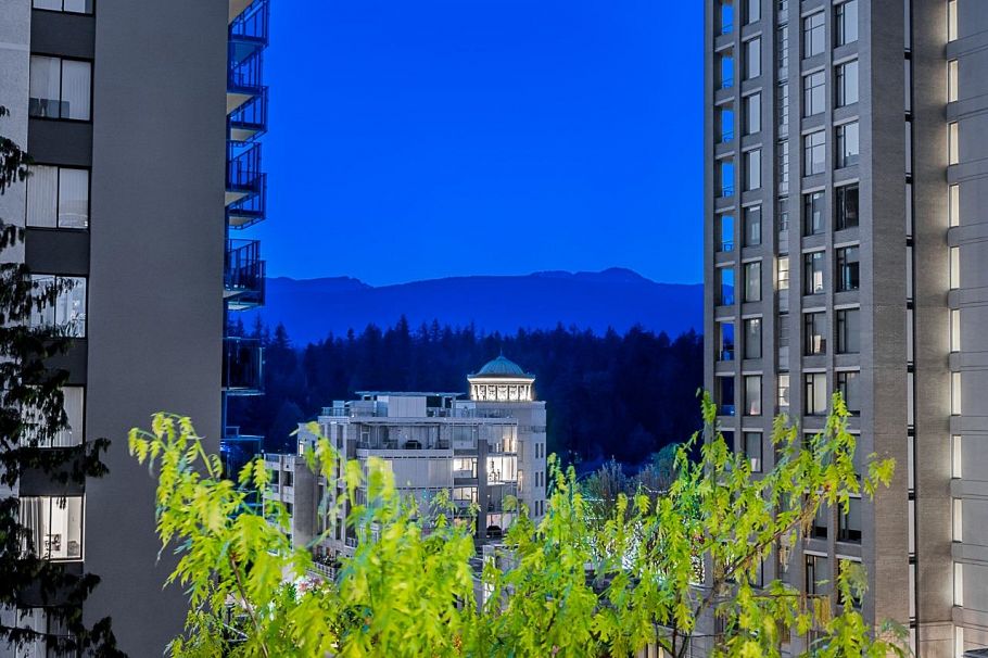 602 1888 Alberni Street Vancouver, BC - 30