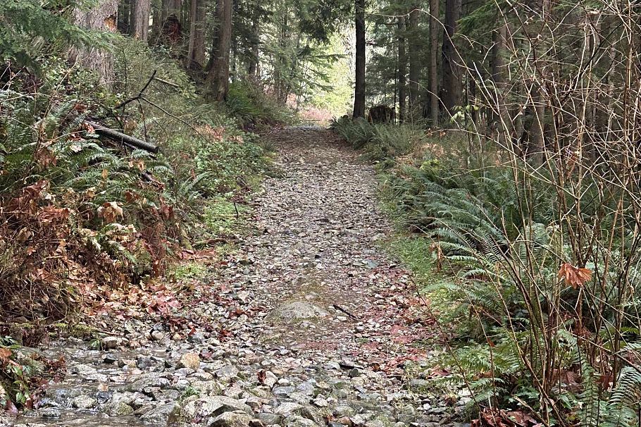 Lot 2 Indian River Drive North Vancouver, BC - 18