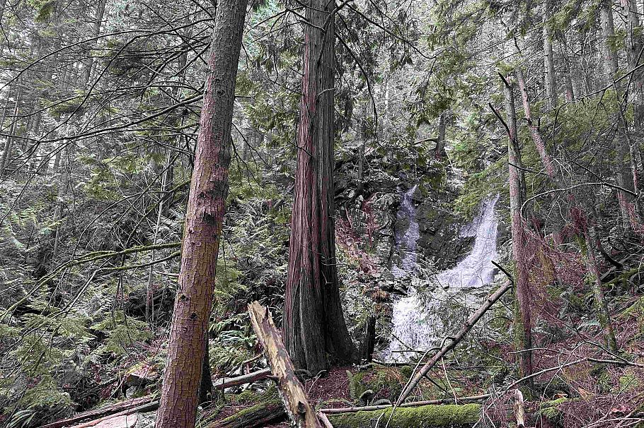 Lot 2 Indian River Drive North Vancouver, BC - 6