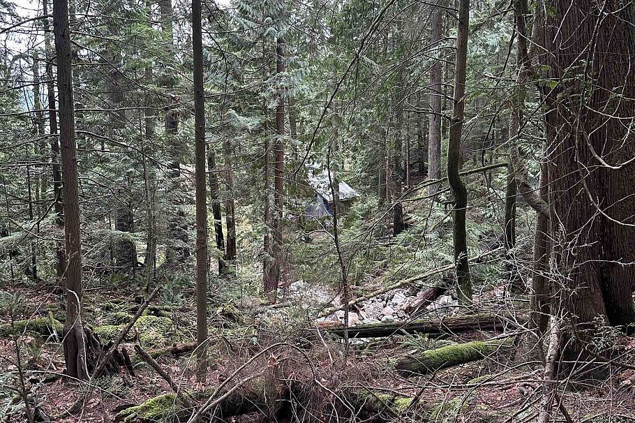 Lot 2 Indian River Drive North Vancouver, BC - 13