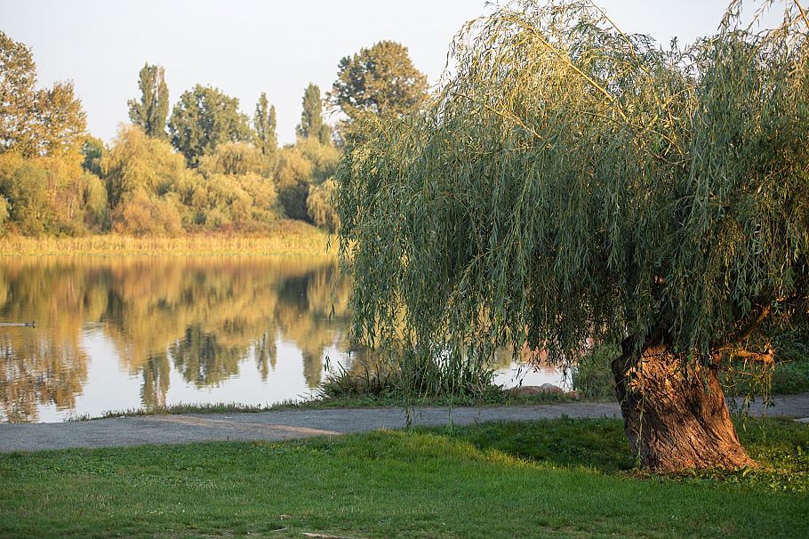 206 3264 Vanness Avenue Vancouver, BC - 25