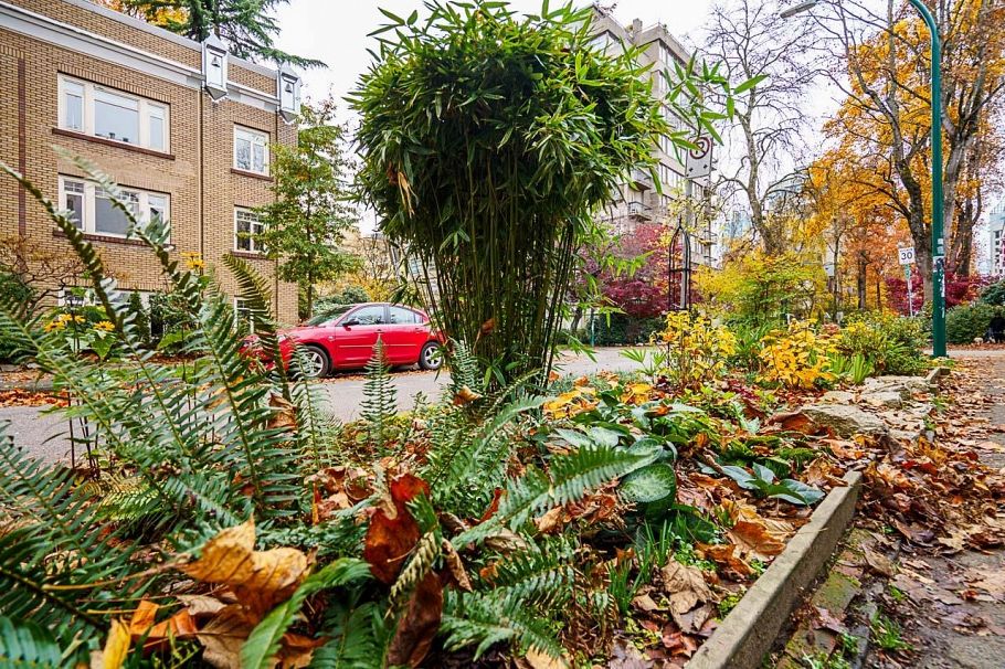 302 936 Bute Street Vancouver, BC - 4