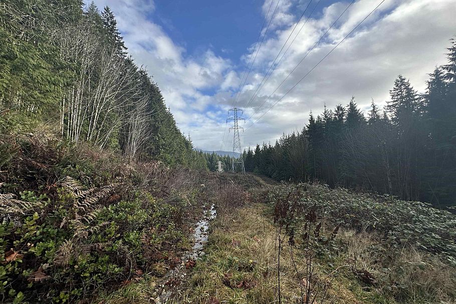 Lot 2 Indian River Drive North Vancouver, BC - 21