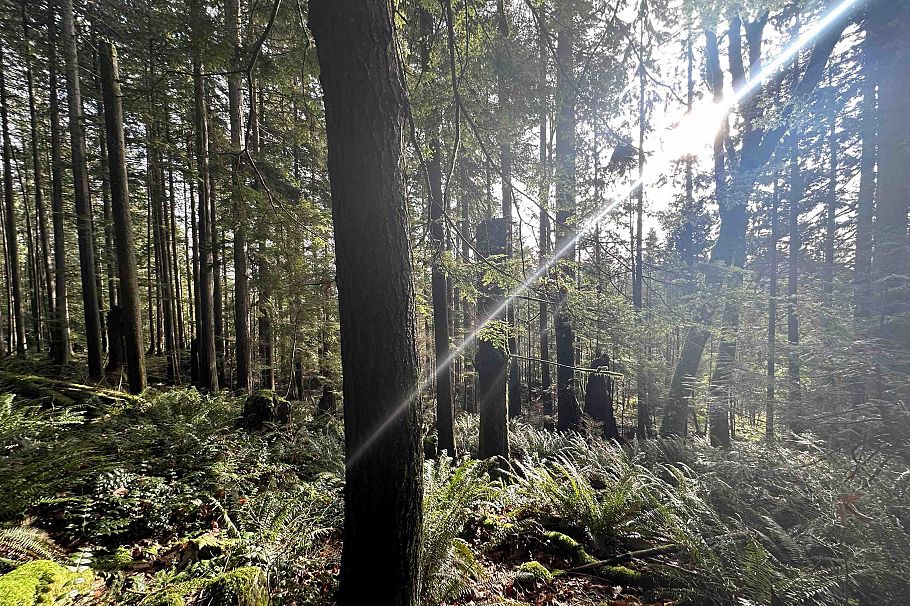 Lot 2 Indian River Drive North Vancouver, BC - 19