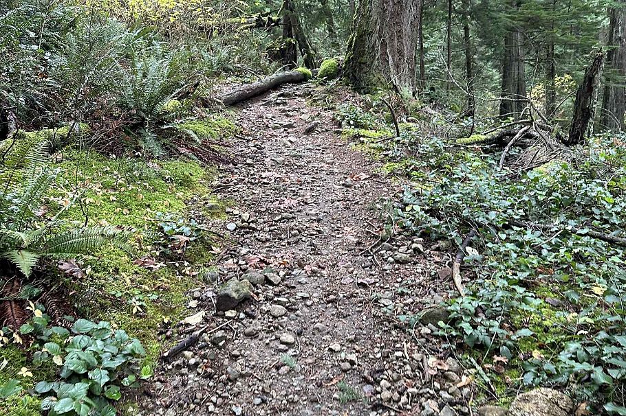 Lot 2 Indian River Drive North Vancouver, BC - 7