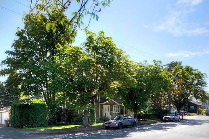 5688 TRAFALGER STREET, Vancouver BC V6N 1C3 Vancouver, BC - 1