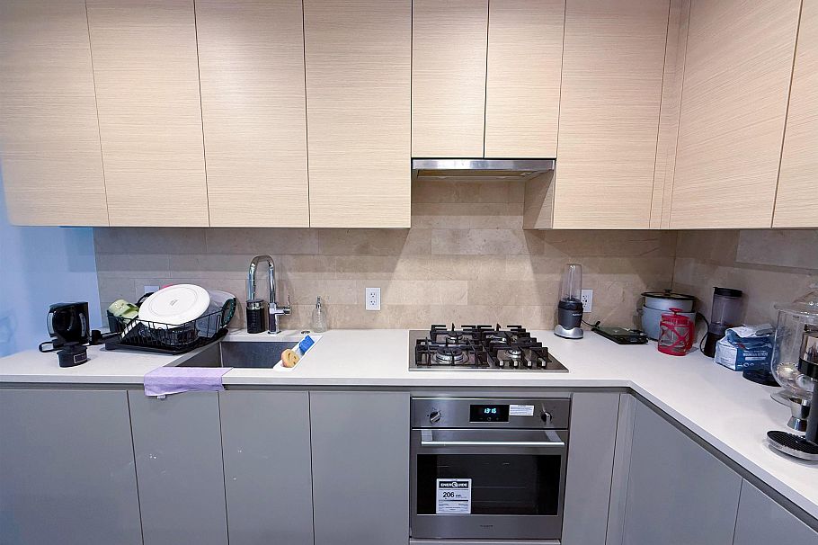 2009 2108 Gilmore Avenue Burnaby, BC - 4