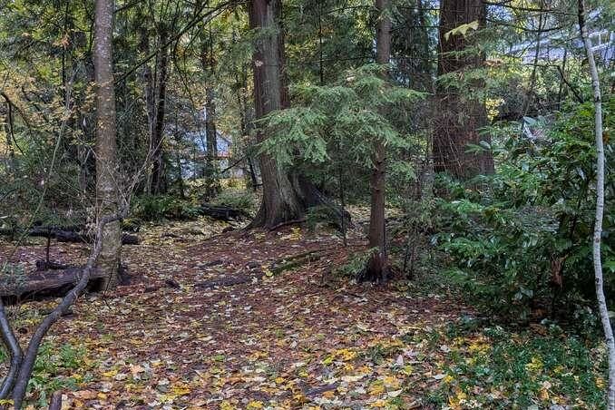 1498 Chamberlain Drive North Vancouver, BC - 38