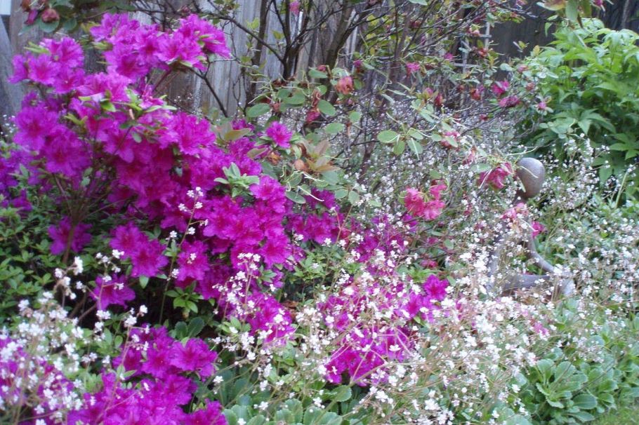 1498 Chamberlain Drive North Vancouver, BC - 27