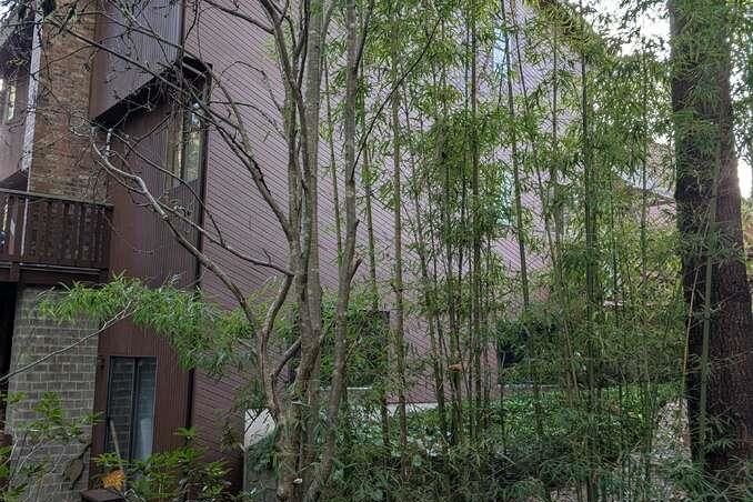 1498 Chamberlain Drive North Vancouver, BC - 4