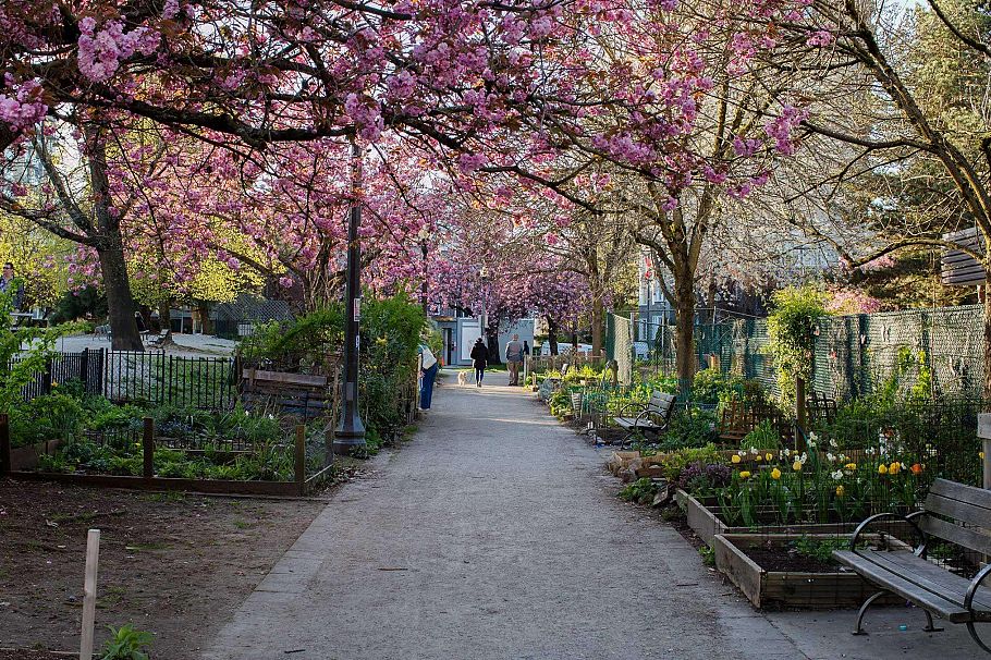 201 1535 Nelson Street Vancouver, BC - 31