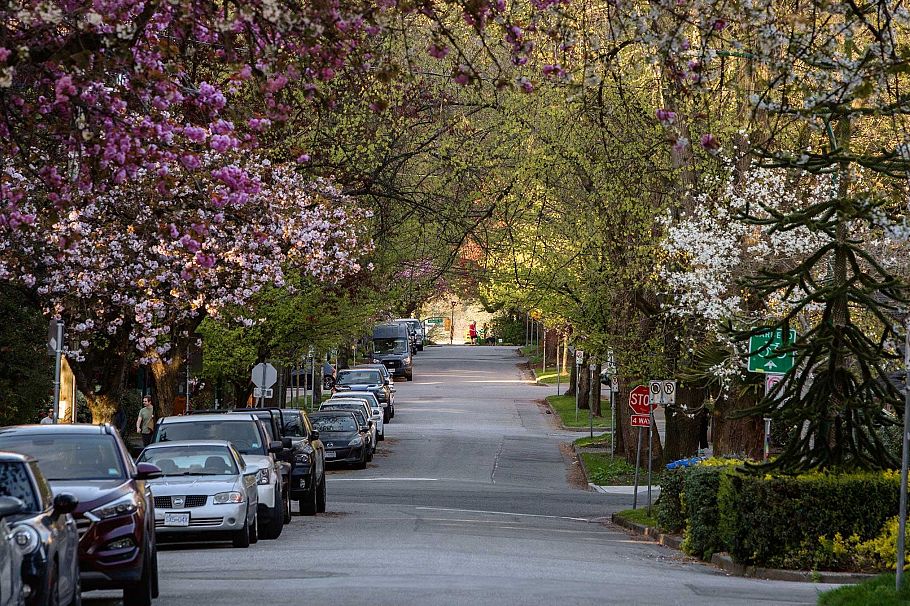 201 1535 Nelson Street Vancouver, BC - 3