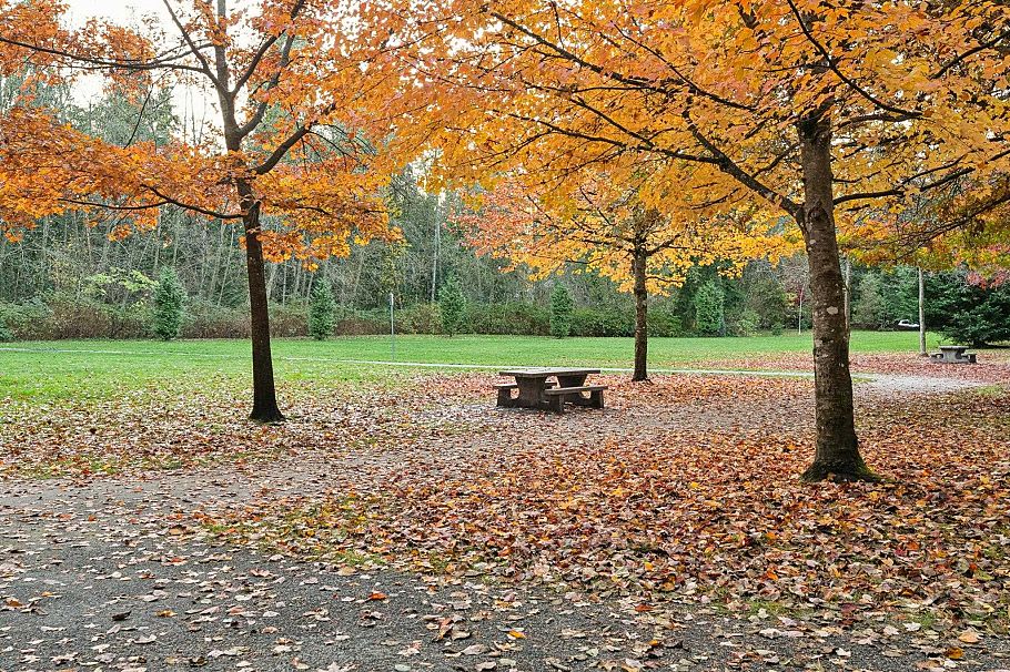 2994 Mt Seymour Parkway North Vancouver, BC - 35